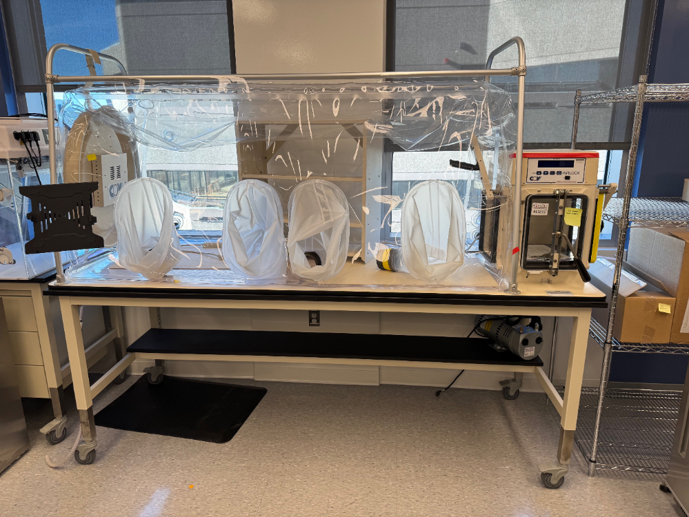 Image of Coy Anaerobic Chamber